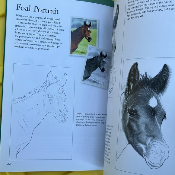 Walter Foster Pencil Drawing Book - Picture 11 of 16